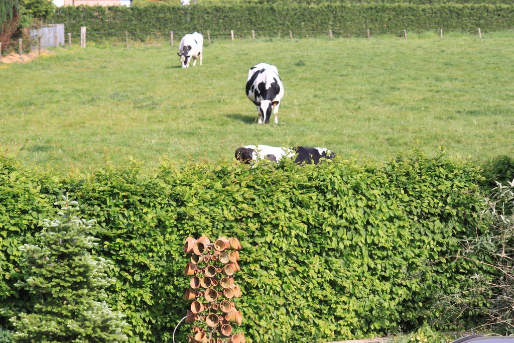B&B Lomolen Aalter Eksteriør bilde